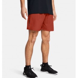 UA WOVEN WDMK SHORTS